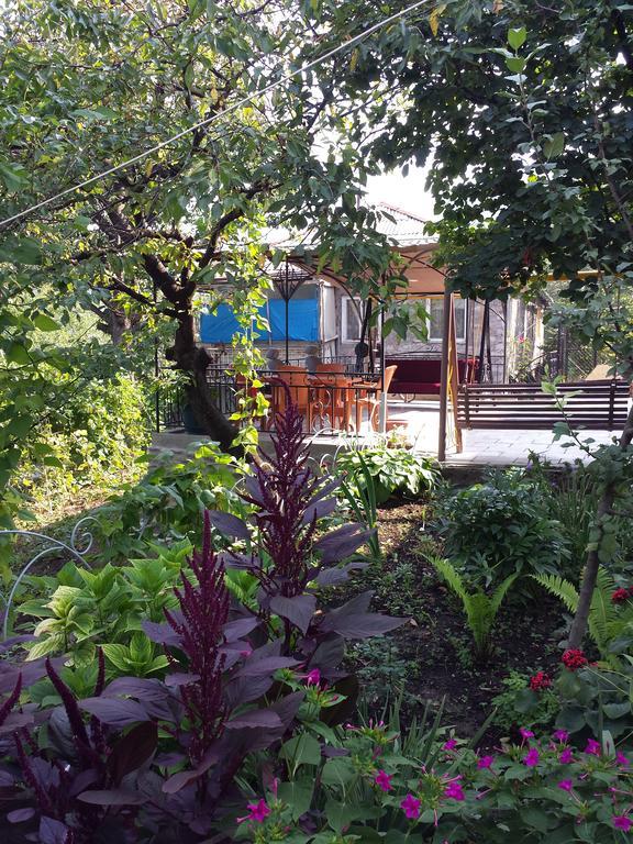 Bacho,S Cottage Borjomi Dış mekan fotoğraf