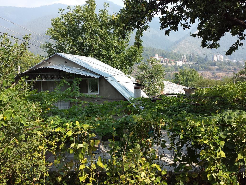 Bacho,S Cottage Borjomi Dış mekan fotoğraf