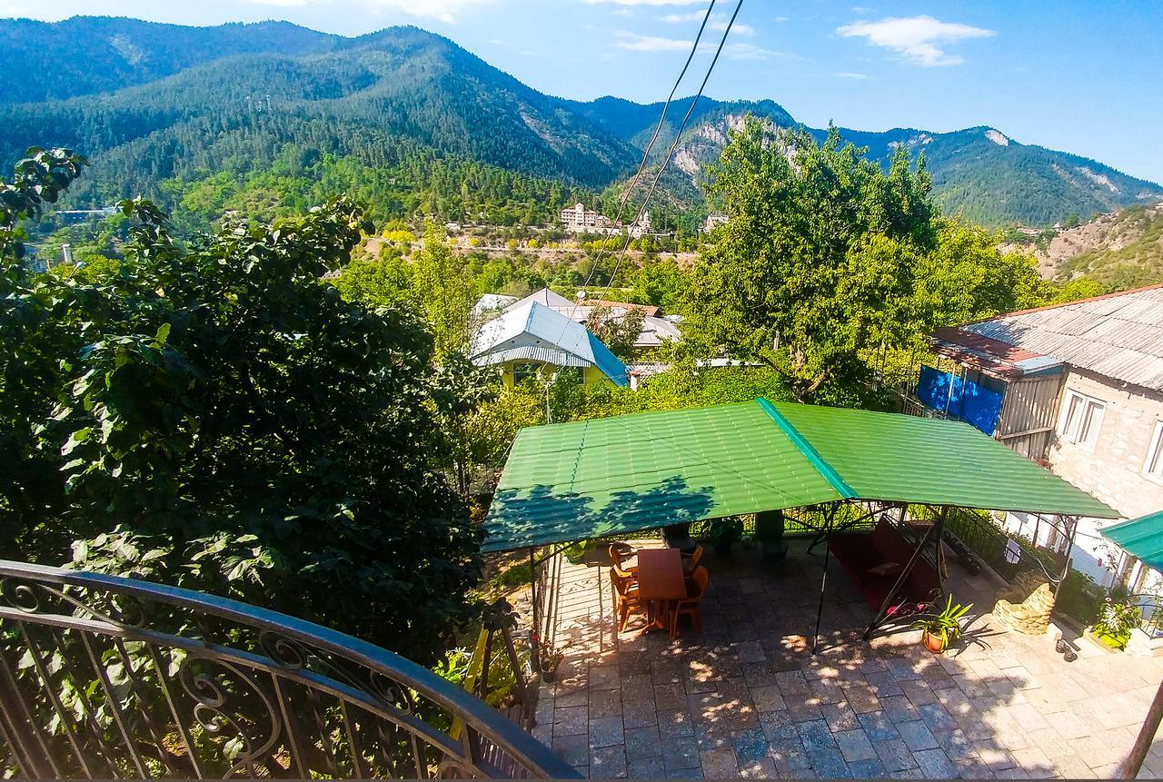 Bacho,S Cottage Borjomi Dış mekan fotoğraf